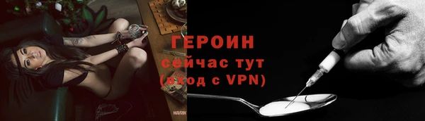 прущие грибы Саяногорск