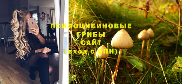 дмт Балахна