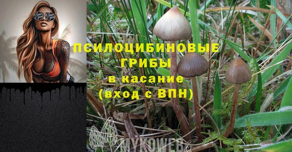 дмт Балахна