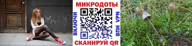 Галлюциногенные грибы мицелий  Купить закладки  Бодайбо 