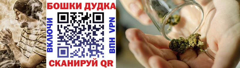 Конопля сатива  Купить закладки  Бодайбо 